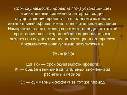 Срок окупаемости проекта 1 год