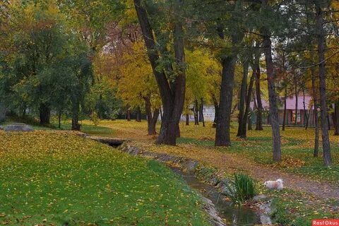 Парке чуковского ростов на дону