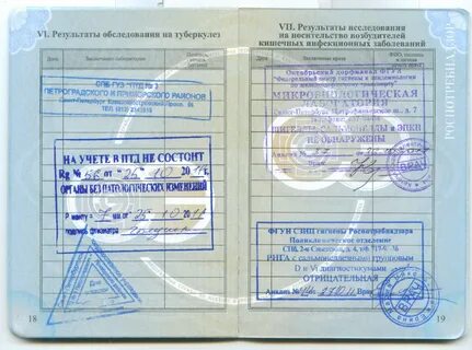 Каких врачей нужно пройти для медкнижки студенту