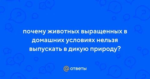 Нельзя выпускать
