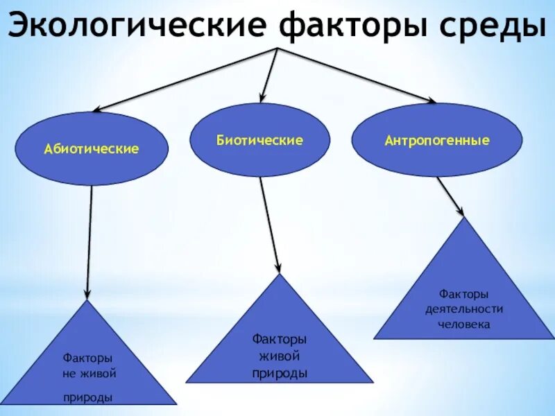 Природная группа. Экологические факторы. Экологические факторы среды. Группы экологических факторов. Абиотические биотические и антропогенные факторы.