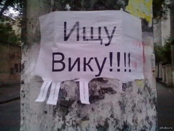 Вика шутка. Шутки про вику. приколы с именем вика смешные. приколы про вику картинки. приколы про вику смешные.