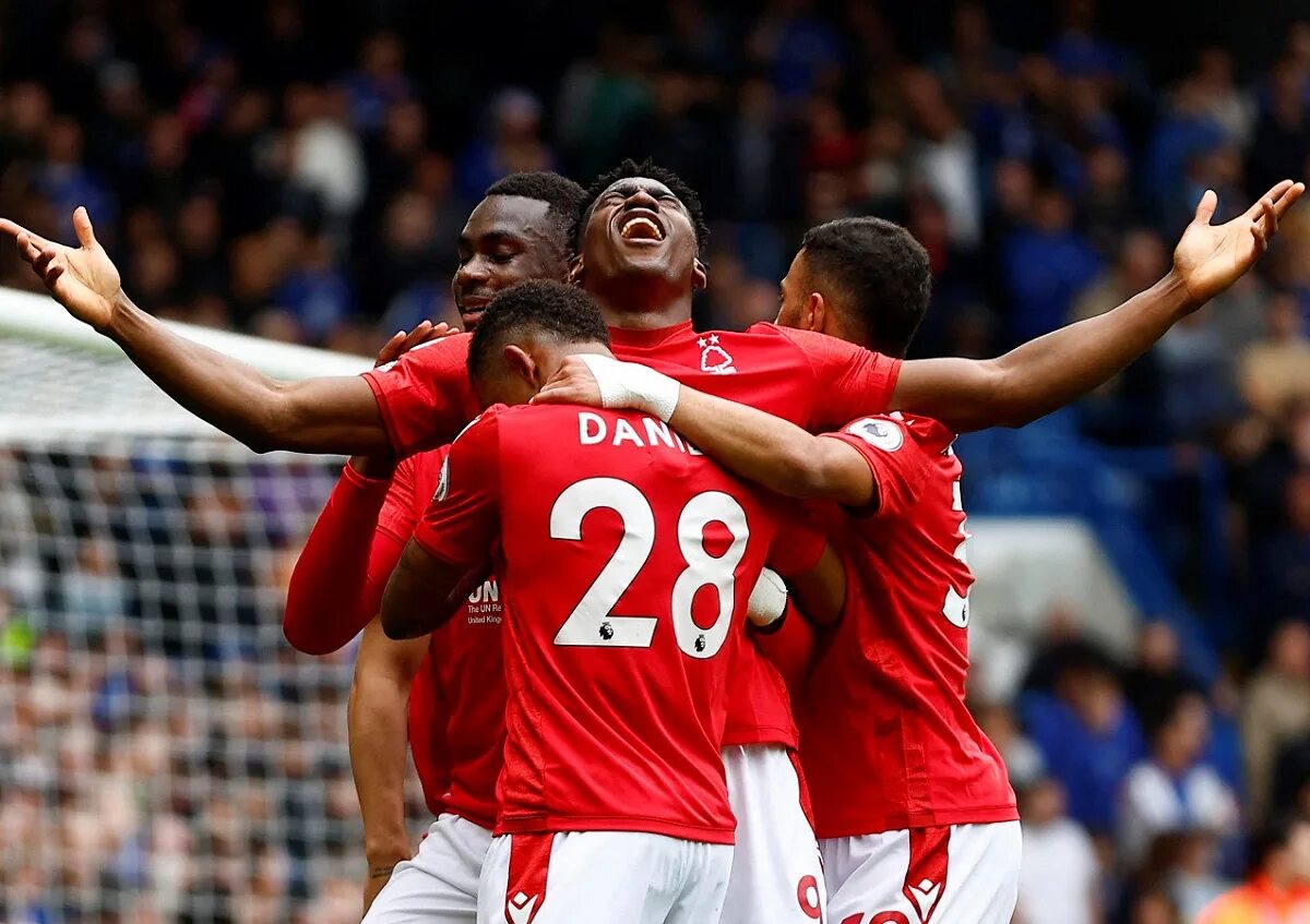 Forest arsenal