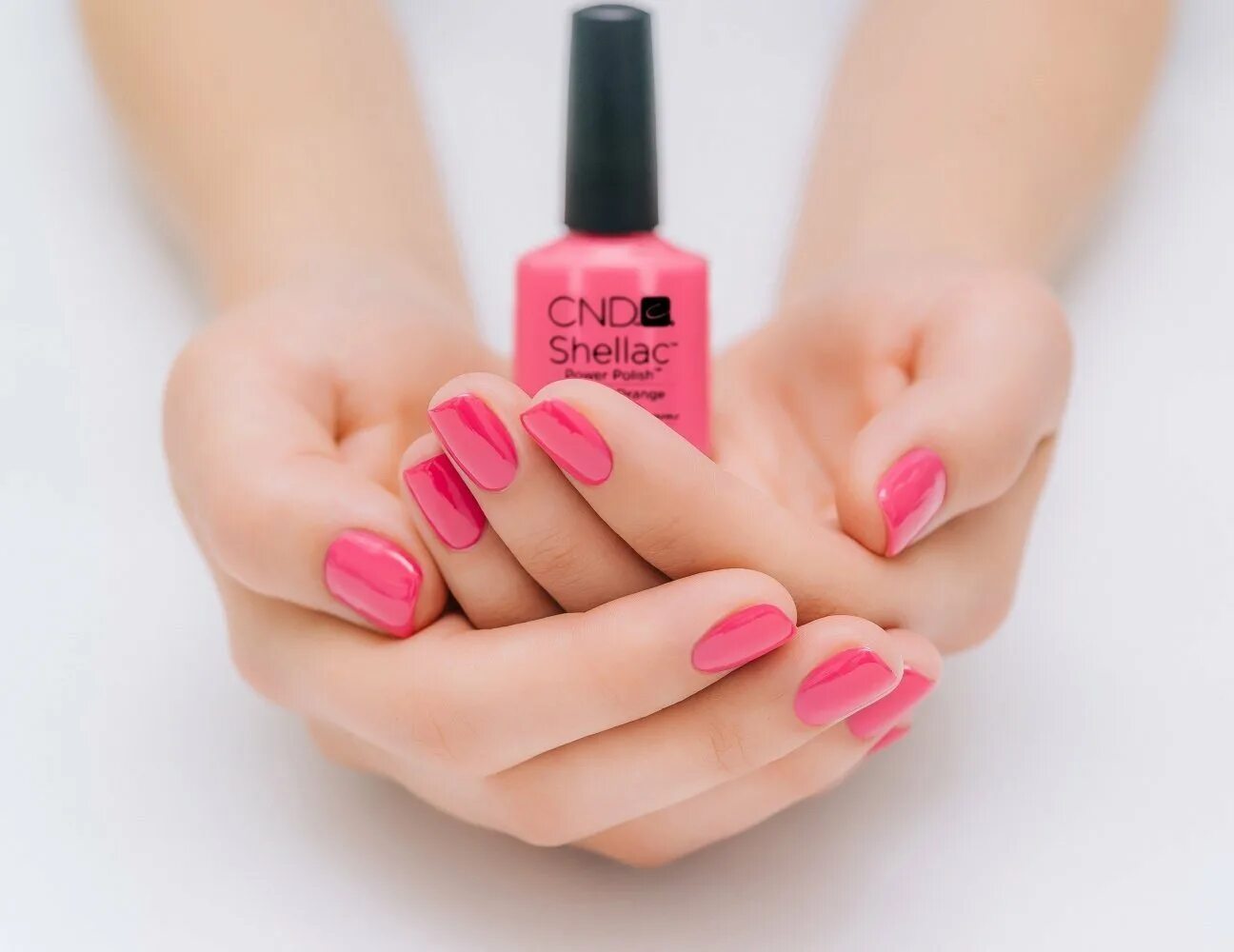 Шеллак мастер. Маникюр шеллак. покрытие shellac. шеллак реклама. shellac manicure.