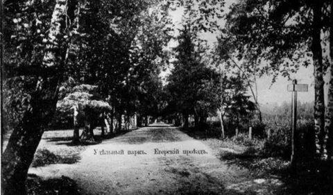 До удельного парка