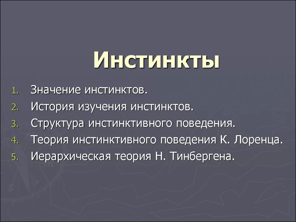 Физиологический инстинкт. Значение инстинктов. Инстинкт. Значение инстинктов для человека. Основные инстинкты биология.