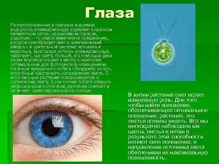 Можно ли увидеть