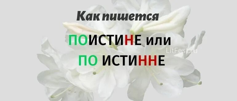 Поистине как пишется. По истине или поистине как пишется. Поистине как пишется слитно. Поистине как. Поистине замечательному собранию