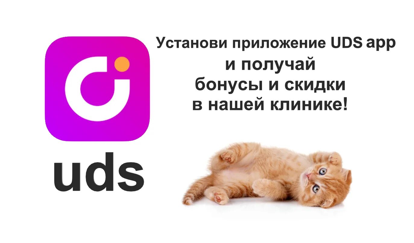 UDS программа лояльности. ЮДС логотип. Значок UDS. UDS приложение. Https uds app