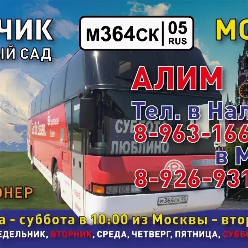 Автобус Нальчик Москва. Номера автобусов Нальчик Москва. Автобусы Москва Нальчик Люблино. Автобус Москва Нальчик номер телефона водителя.