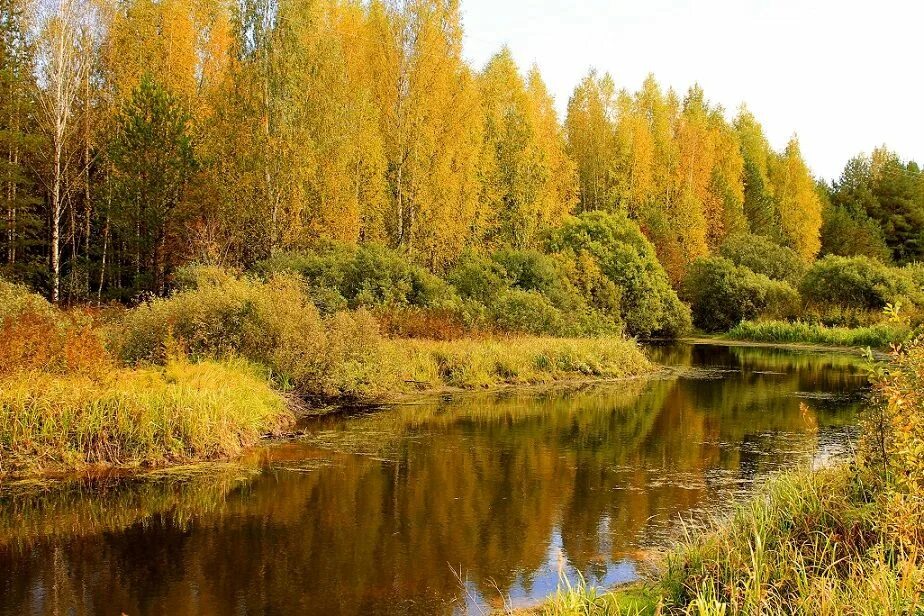 Св осень. Осень речка. Фото природы Никольского района. Река Уечка Ляховицы. Реки Обухова.