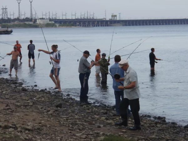 Ловля селедки в Волгограде. Ловля селедки в Астрахани. Рыбалка в Волгограде. Ловля селедки на Дону.