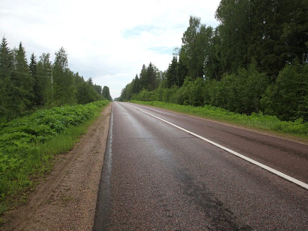 Дорога. Дорога обочина. Трасса. Трасса вдоль.