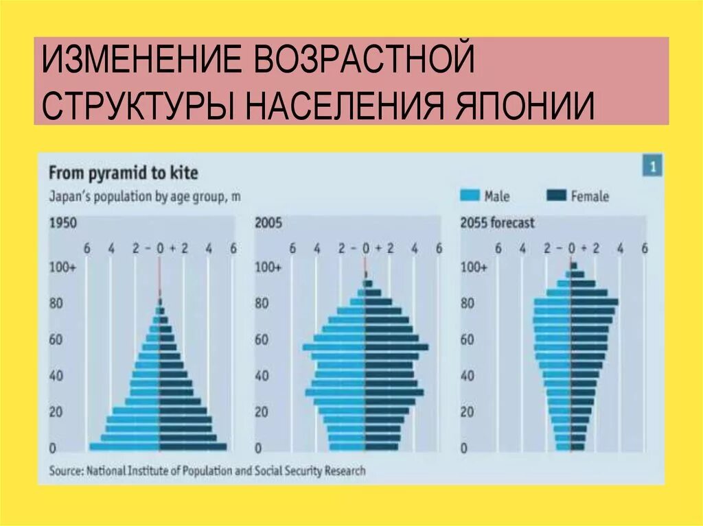 Практическая работа 2 прогнозирование изменений возрастной структуры