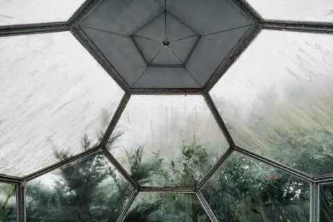 Купол 24 учебный