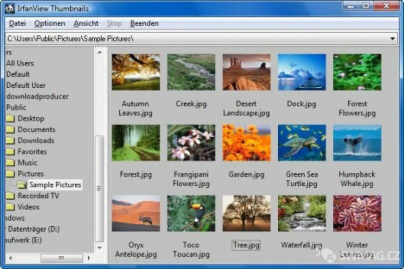 Просмотра и т д. IRFANVIEW. IRFANVIEW IRFANVIEW. IRFANVIEW thumbnails. IRFANVIEW функции.