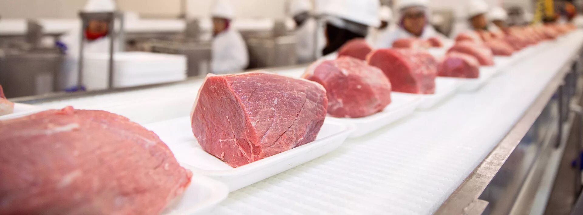 Современные технологии мясо. Технология мясных и рыбных продуктов. Мясо Халяль.