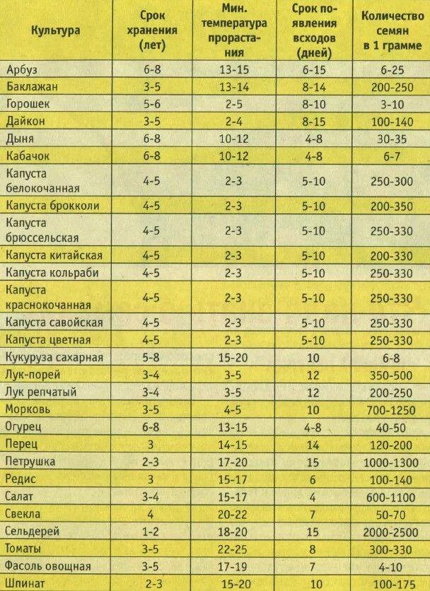 Через сколько дней всходят помидоры из семян. Срок годности овощных семян таблица. Сроки всхожести семян овощей таблица. Срок годности семян овощей таблица. Сроки хранения семян овощных культур таблица.