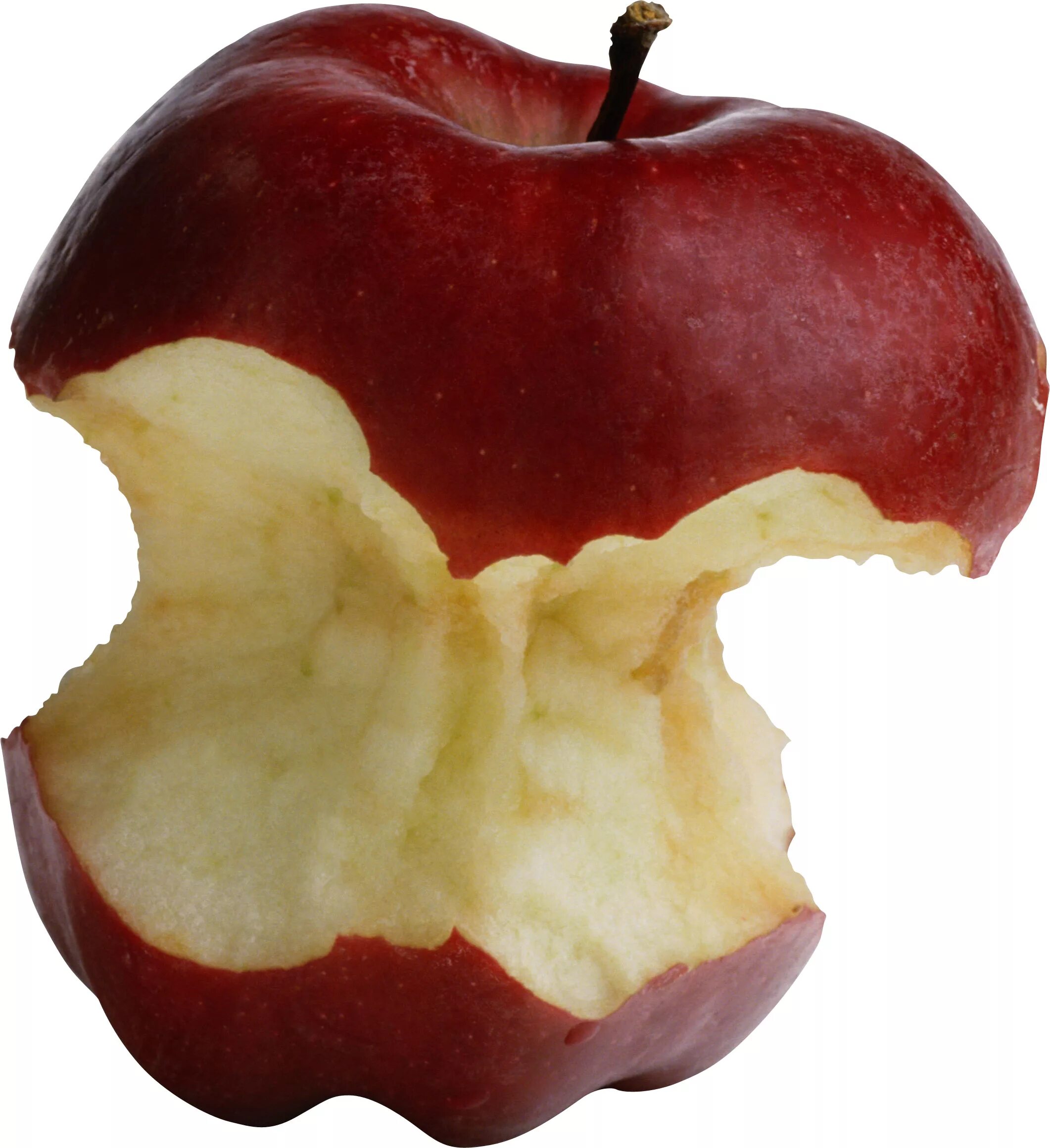Обгрызенное яблоко. Яблоко зеленое откусанное. Яблочный огрызок. Огрызок яблока. Обгрызенное или обгрызанное яблоко.