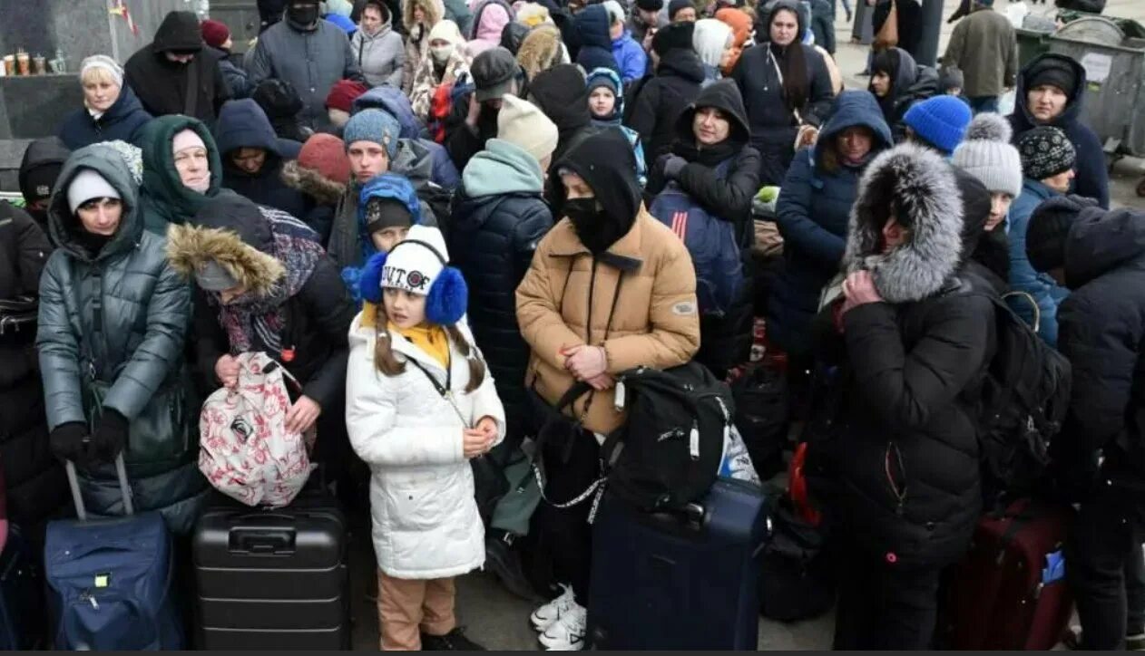 Беженцы в израиле. Лагерь сирийских беженцев. Евреи беженцы после войны. Украинские беженцы фото. Абдужаллол тошев.