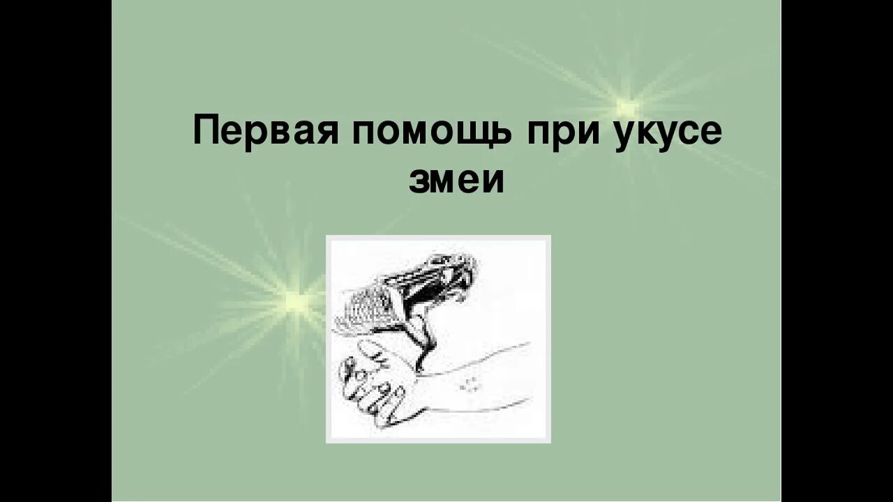 Помощь при укусе ядовитых насекомых. Укус змеи первая помощь. первая помощь при укусах. первая помощь при укусе змеи. первая помощь при укусе гадюки.
