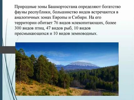 Природные достопримечательности и богатства республики башкортостан