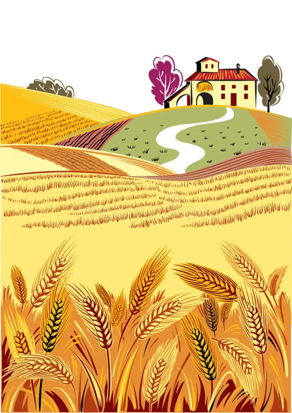 Рисунки люди на пшеничном поле. Раскраска поле. Поле с колосками детский рисунок. На моем рисунке поле. Пшеничное поле акварелью.