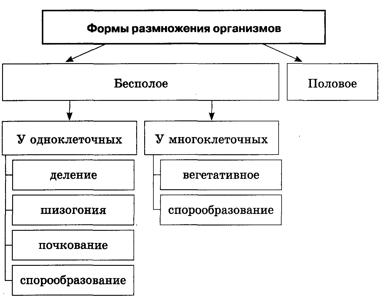 Бесполое размножение свойство. Типы размножение организмов бесполое. Формы бесполого размножения схема. Формы размножения организмов бесполое размножение. Способы бесполого размножения схема.