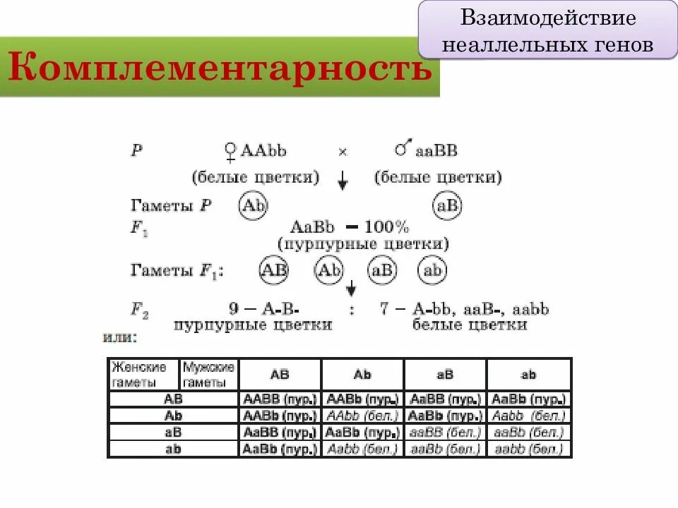 Схема комплементарного взаимодействия генов. Схема типы взаимодействия аллельных генов. Взаимодействие неаллельных генов схема. Взаимодействие между генами таблица. Аллейные гены