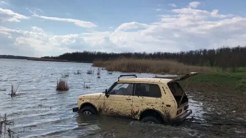 Село нива
