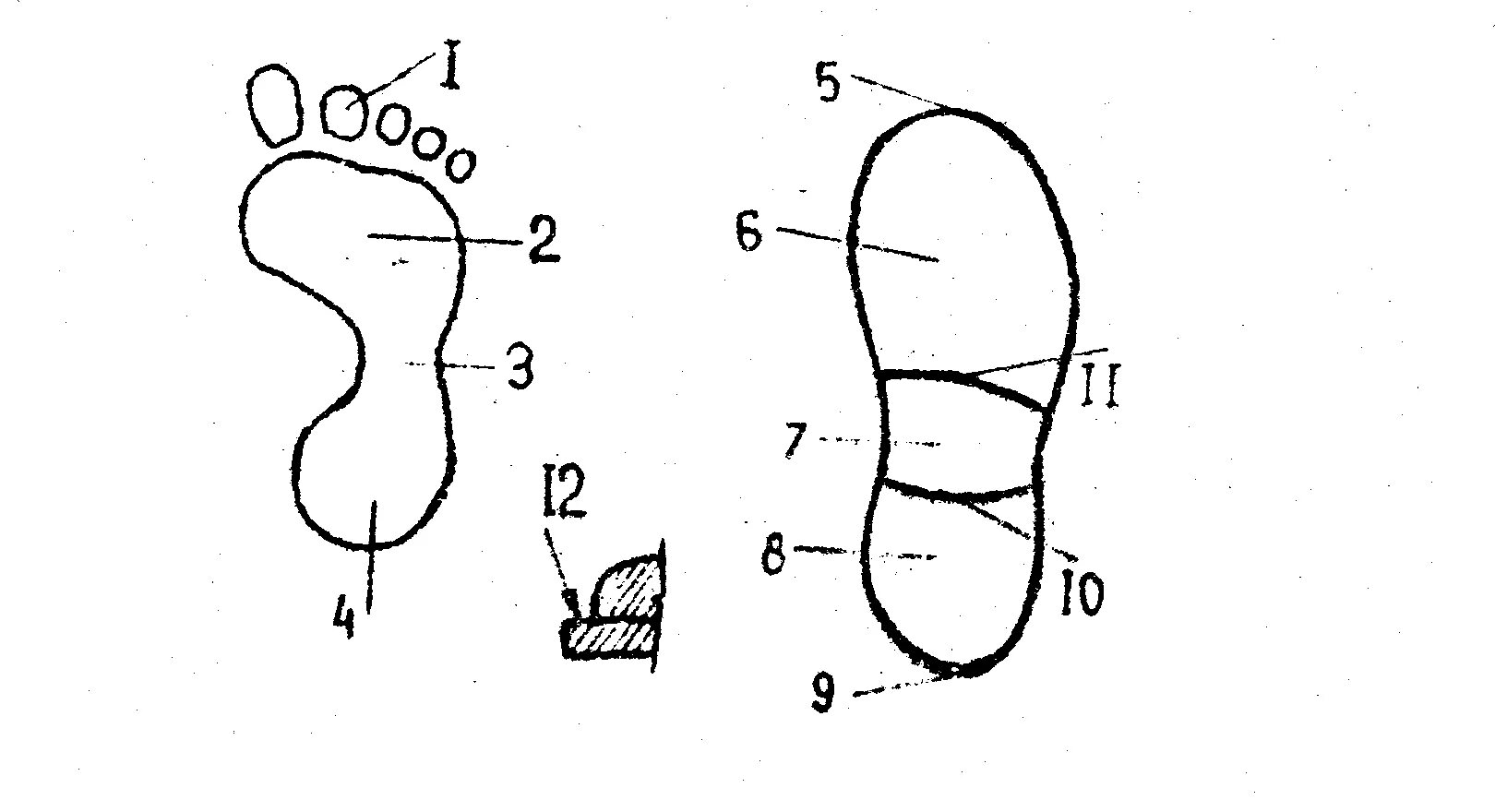 След подошвы ноги. Подметка обуви криминалистика. схема дорожки следов криминалистика. след подошвенной части обуви криминалистика.