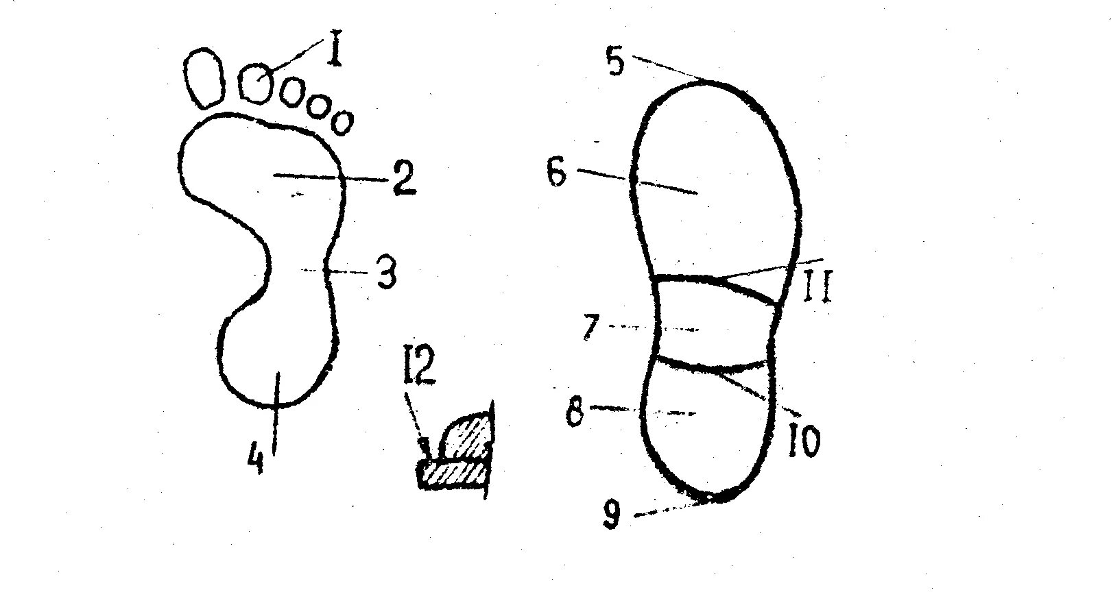 Подошвенная часть обуви криминалистика. Подметка обуви криминалистика. След подошвенной части обуви схема. След подошвенной части обуви криминалистика.