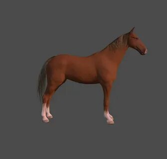3d animation horse