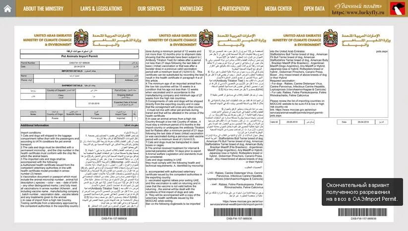 Сколько можно ввозить в оаэ. Как выглядит разрешение на ввоз животного в оаэ.