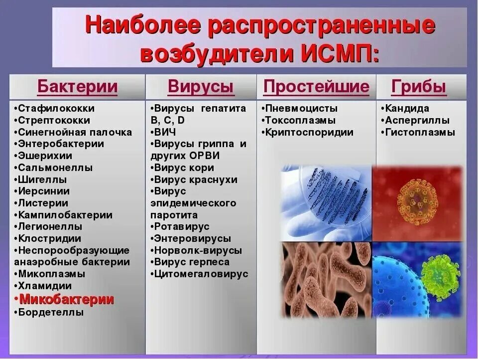 Какие существуют наиболее распространенные иппп. Таблица вирусы бактерии грибы простейшие. Возбудители болезней бактерии вирусы и простейшие. Возбудители ВБИ микроорганизмы. Заболевания, вызываемые вирусами, бактериями, простейшими.