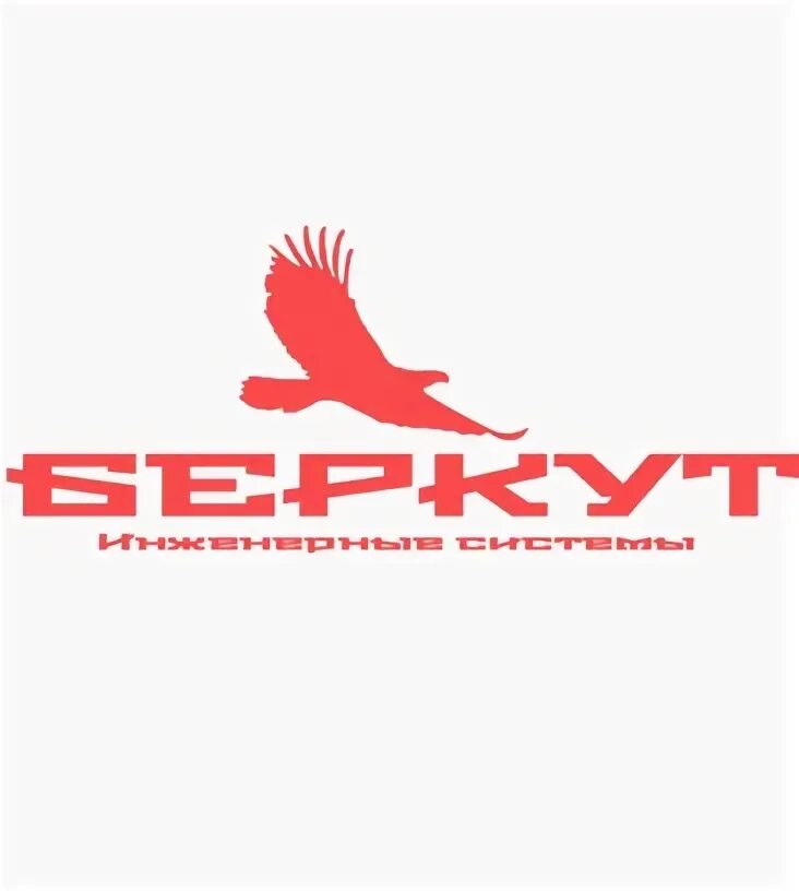 Беркут бренд. Беркут спортклуб. Беркут надпись. Беркут ростов. Беркут эмблема.