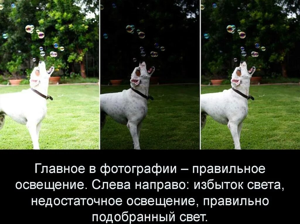 Экспозицию составят