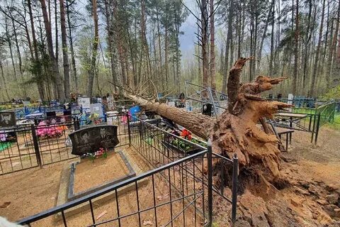 Мамоновское кладбище