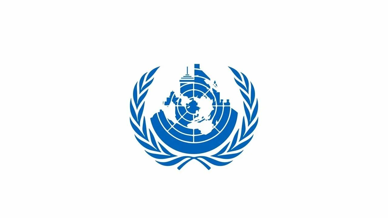 Ограничения оон. Конференция организации Объединенных наций. Комиссия ООН по устойчивому развитию. Организация Объединенных наций (ООН). Международная модель ООН.