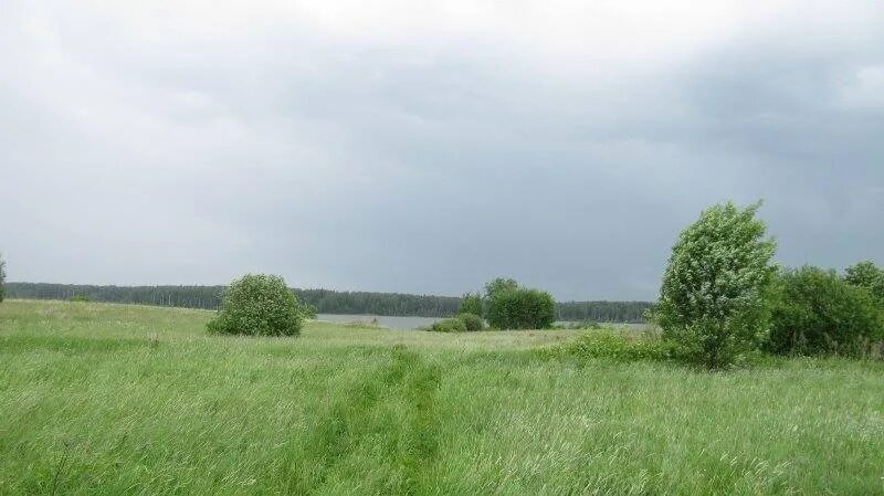 Сено калужская область. Иванково Ивановский. Калужская область, Мещовский р-н, д. Иванково. Деревня Иванково Калужская область. Иванково Курганская область.