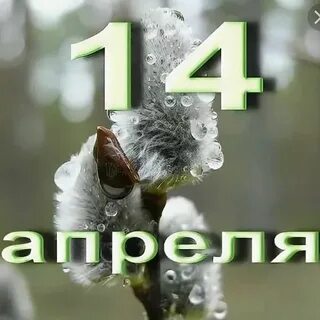Давай 14 апреля