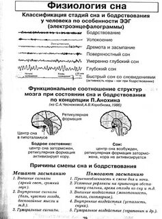 Опираясь на текст укажите сколько функций сна