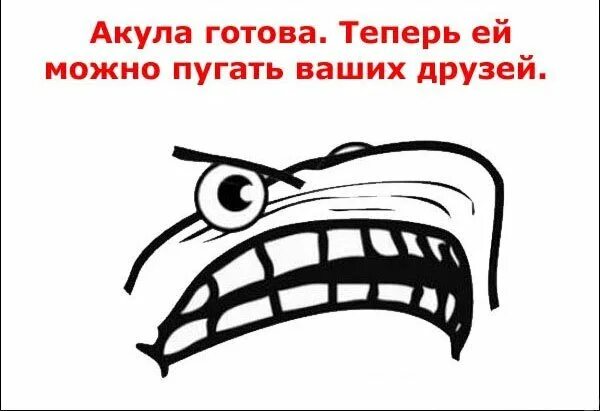 Люди не меняются истории не повторяются. Теперь готов. Вапрол. Ненавижу деревья. Спорт юмор.