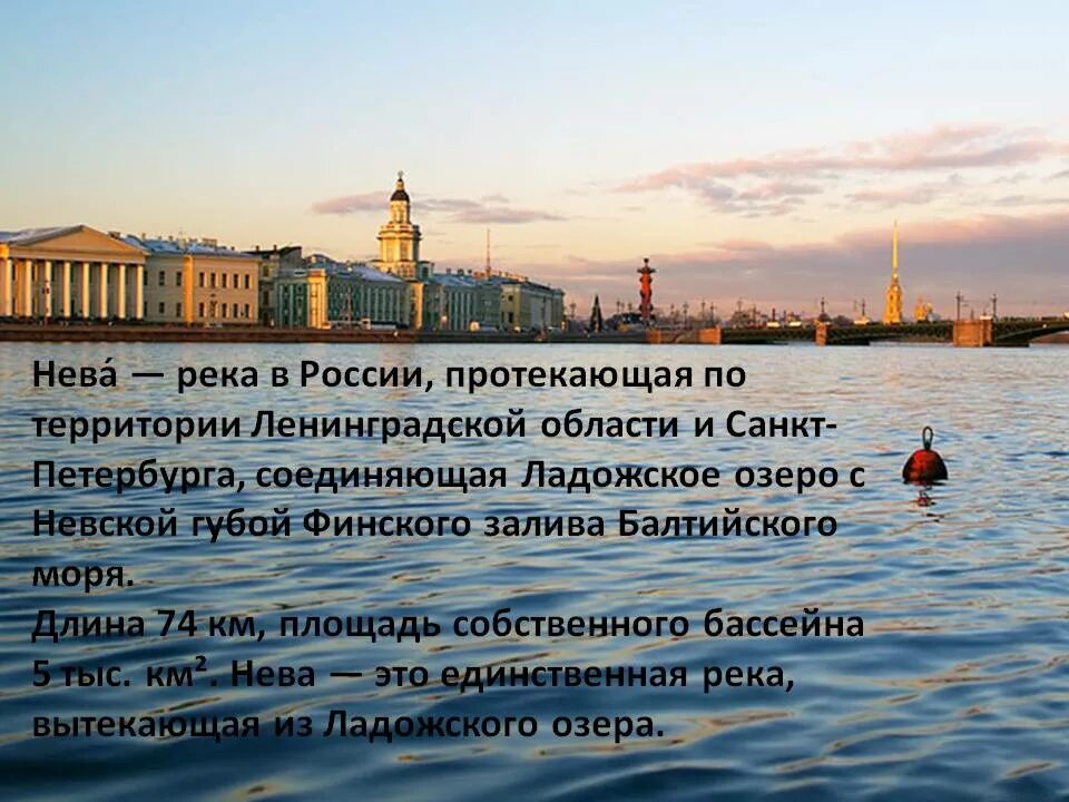 Сколько с петербург в длину. Река нева в санкт-петербурге краткое. петербург центр река нева. реки россии нева. протяженность невы.