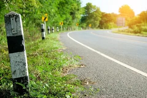 Трава на обочинах дорог
