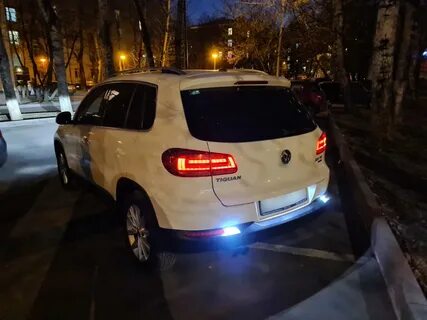 Лампа тигуан