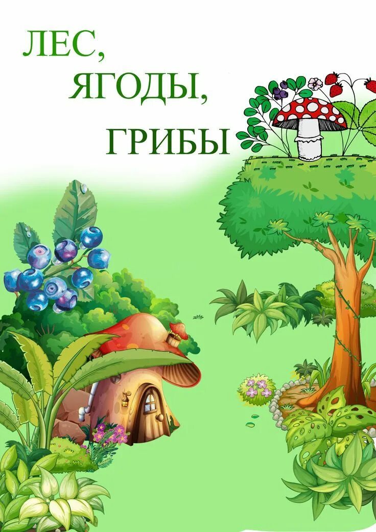 Тема недели лес грибы ягоды. Лексическая тема грибы в старшей группе. Тема недели лес грибы ягоды. Тема недели лес. Тема недели лес грибы ягоды.