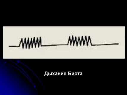 Дыхание биота