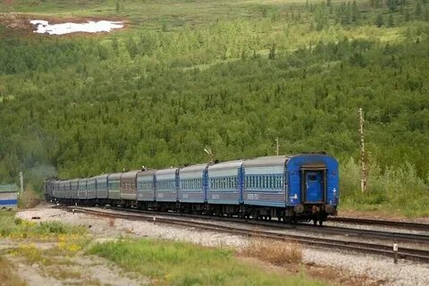Поезд полярная стрела москва