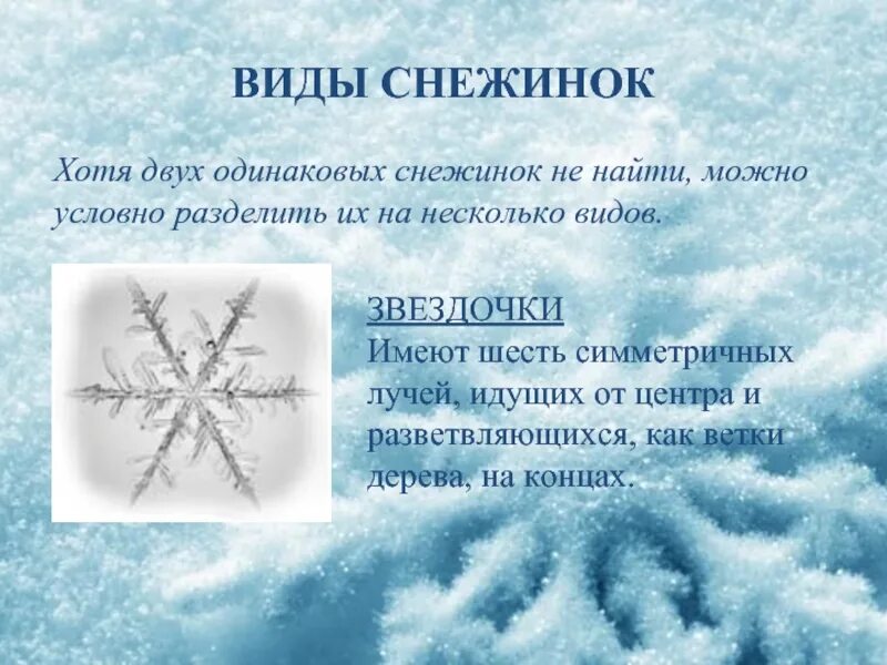 Звездочки снежинки текст. Виды снежинок. Загадка про снежинку. Вывод о снежинках. Задания со снежинками.